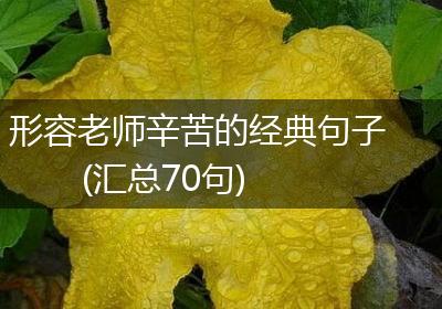 形容老师辛苦的经典句子(汇总70句)