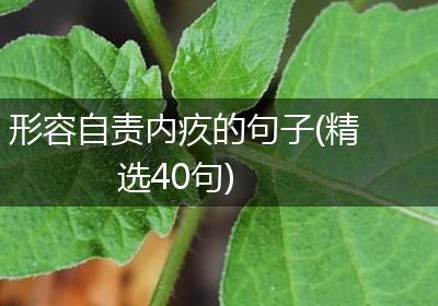 形容自责内疚的句子(精选40句)