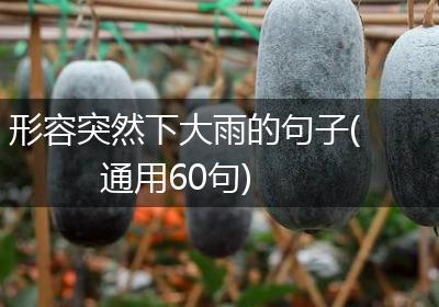 形容突然下大雨的句子(通用60句)