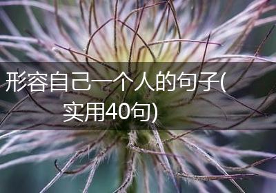 形容自己一个人的句子(实用40句)