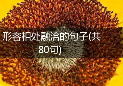 形容相处融洽的句子(共80句)