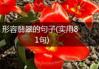 形容翡翠的句子(实用81句)