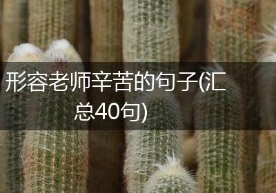 形容老师辛苦的句子(汇总40句)