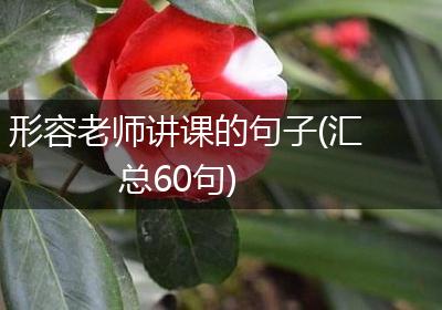 形容老师讲课的句子(汇总60句)