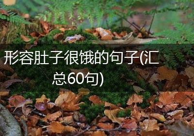 形容肚子很饿的句子(汇总60句)