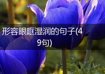 形容眼眶湿润的句子(49句)