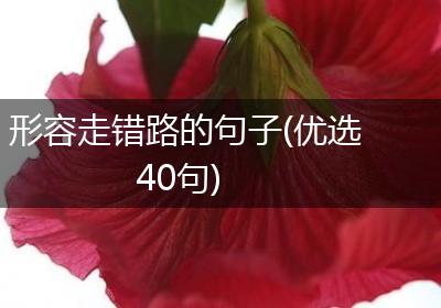 形容走错路的句子(优选40句)