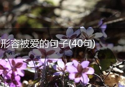 形容被爱的句子(40句)
