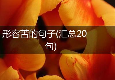 形容苦的句子(汇总20句)