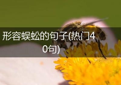 形容蜈蚣的句子(热门40句)