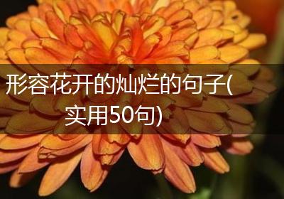 形容花开的灿烂的句子(实用50句)