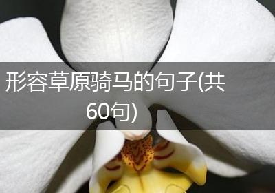 形容草原骑马的句子(共60句)