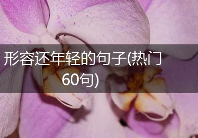 形容还年轻的句子(热门60句)