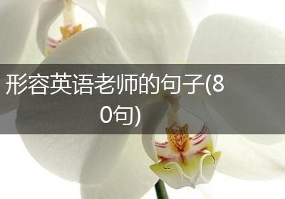 形容英语老师的句子(80句)