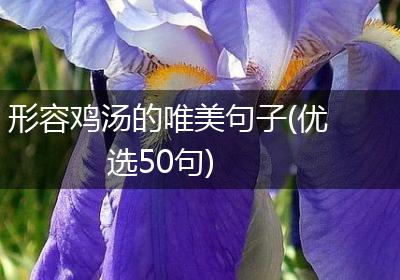 形容鸡汤的唯美句子(优选50句)