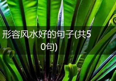 形容风水好的句子(共50句)