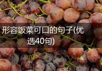 形容饭菜可口的句子(优选40句)