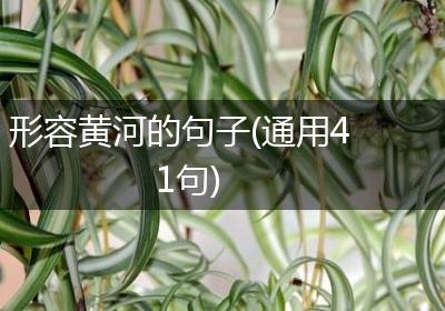 形容黄河的句子(通用41句)