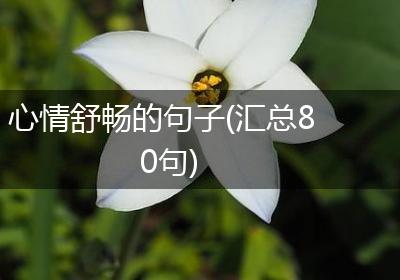 心情舒畅的句子(汇总80句)
