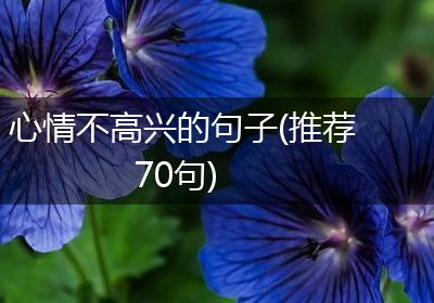 心情不高兴的句子(推荐70句)