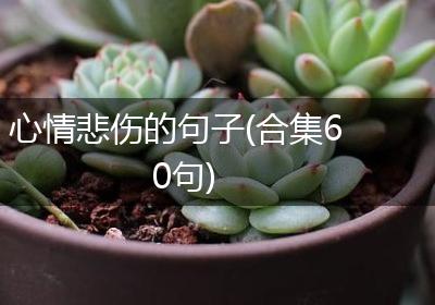 心情悲伤的句子(合集60句)