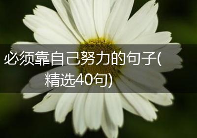 必须靠自己努力的句子(精选40句)