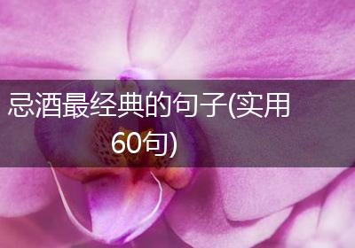 忌酒最经典的句子(实用60句)