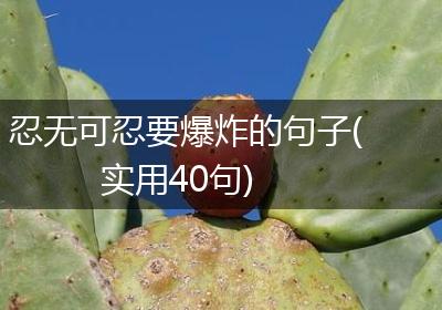 忍无可忍要爆炸的句子(实用40句)