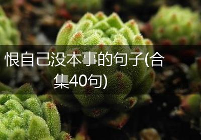 恨自己没本事的句子(合集40句)