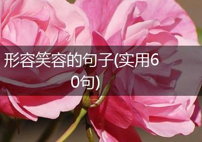 形容笑容的句子(实用60句)