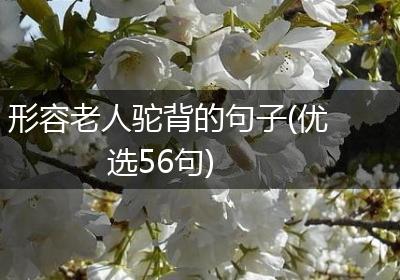 形容老人驼背的句子(优选56句)
