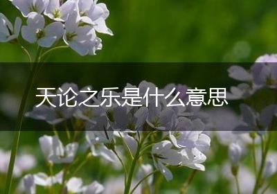 天论之乐是什么意思