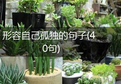 形容自己孤独的句子(40句)