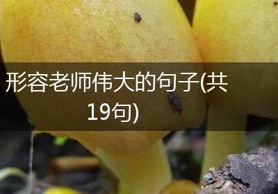 形容老师伟大的句子(共19句)