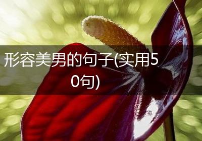 形容美男的句子(实用50句)