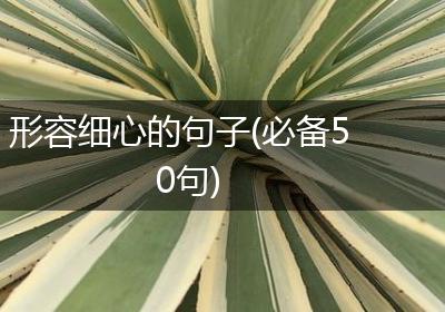 形容细心的句子(必备50句)
