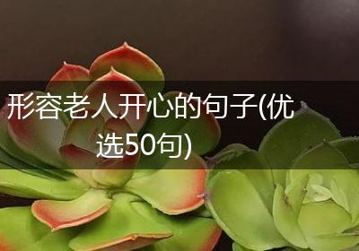 形容老人开心的句子(优选50句)
