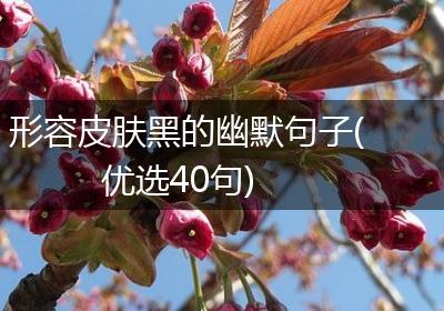 形容皮肤黑的幽默句子(优选40句)