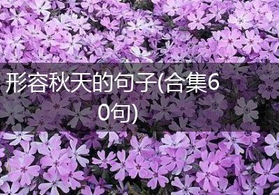 形容秋天的句子(合集60句)