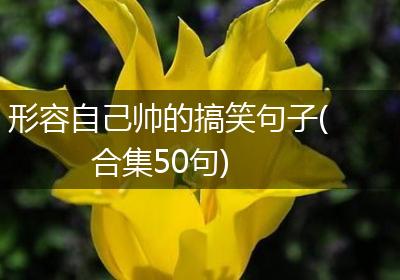 形容自己帅的搞笑句子(合集50句)