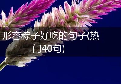 形容粽子好吃的句子(热门40句)