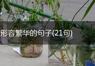 形容繁华的句子(21句)