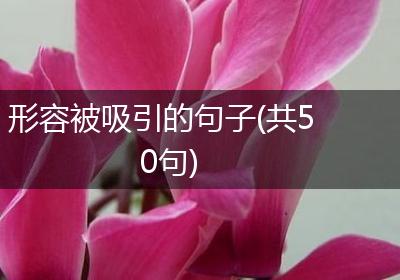 形容被吸引的句子(共50句)