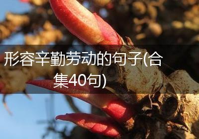 形容辛勤劳动的句子(合集40句)