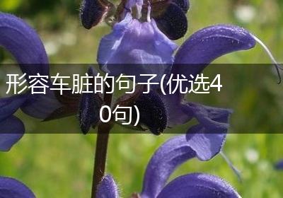 形容车脏的句子(优选40句)