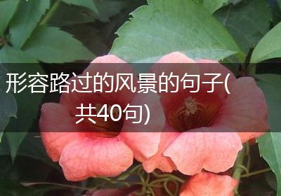 形容路过的风景的句子(共40句)