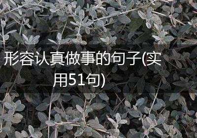 形容认真做事的句子(实用51句)