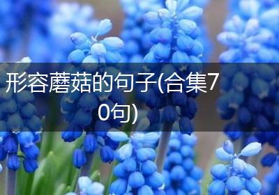 形容蘑菇的句子(合集70句)