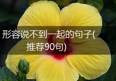 形容说不到一起的句子(推荐90句)