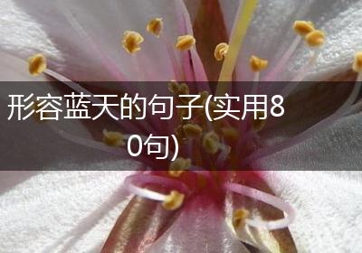 形容蓝天的句子(实用80句)